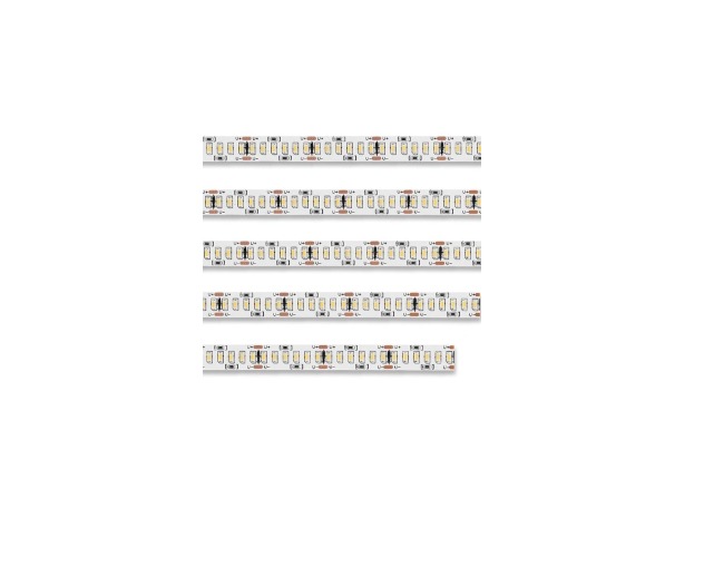 LED-ROPE240-50M-24V/D شريط لد 6K 20W/M يورولوكس &